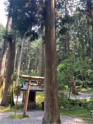 姥神の参拝記録(⛩️🎠🐢まめ🐢🎠⛩️さん)