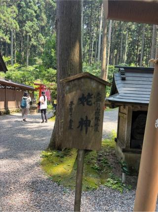 姥神の参拝記録(⛩️🎠🐢まめ🐢🎠⛩️さん)