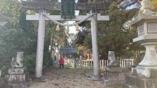 春日若宮神社の参拝記録(すったもんださん)