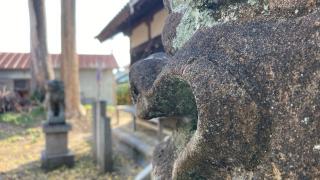 春日若宮神社の参拝記録(すったもんださん)