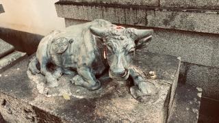 天満宮 (斑鳩町高安)の参拝記録(すったもんださん)