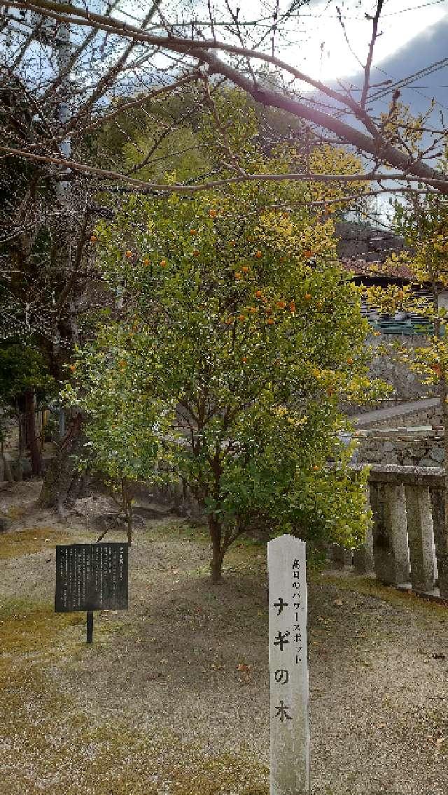 広島県呉市和庄本町19-2 高日神社の写真4