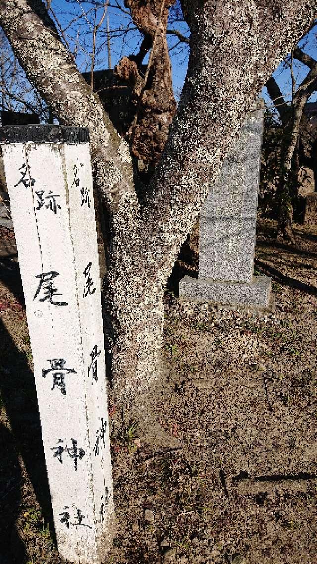 尾骨神社の参拝記録(りゅうじさん)