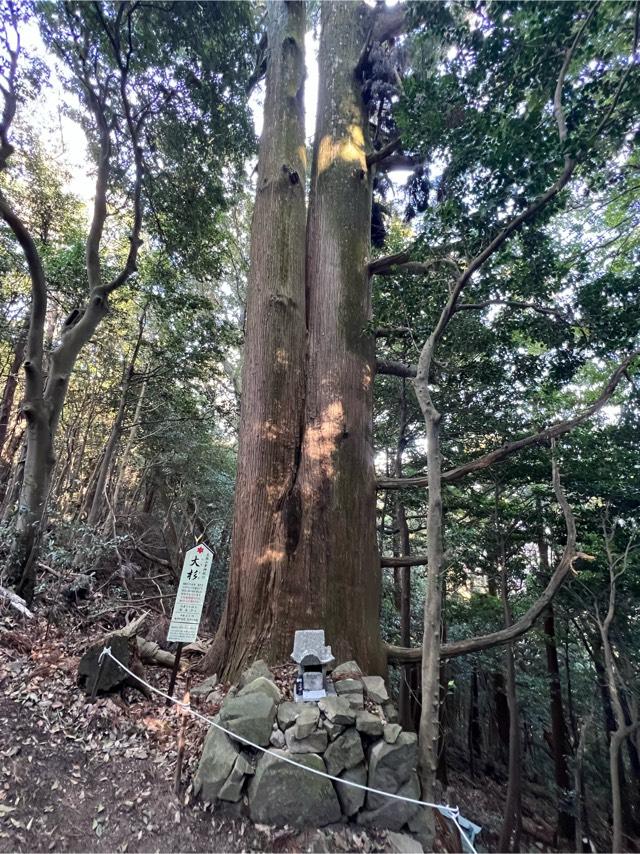 徳島県鳴門市大麻町板東下板ケ谷 峯神社（大麻比古神社奥宮）の写真9