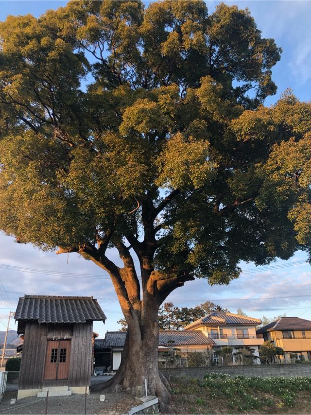 徳島県阿波市土成町水田堂ヶ池2-1 湯佐神社の写真1