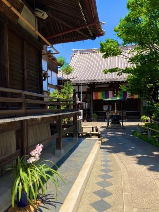 医王山 常性寺(調布不動尊)の参拝記録(nichikaさん)