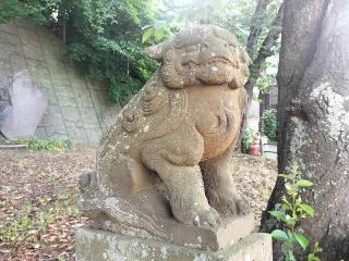 和田八雲神社の参拝記録(さとみさん)
