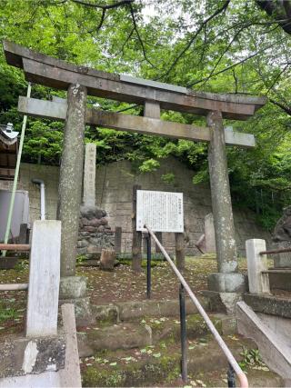 和田八雲神社の参拝記録(⛩️🐍🐢まめ🐢🐍⛩️さん)