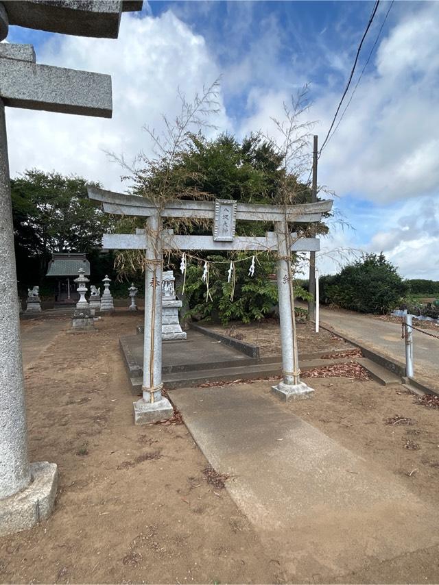 八坂大神の参拝記録1