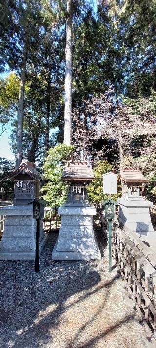 淡嶋神社の参拝記録(まーぼーさん)