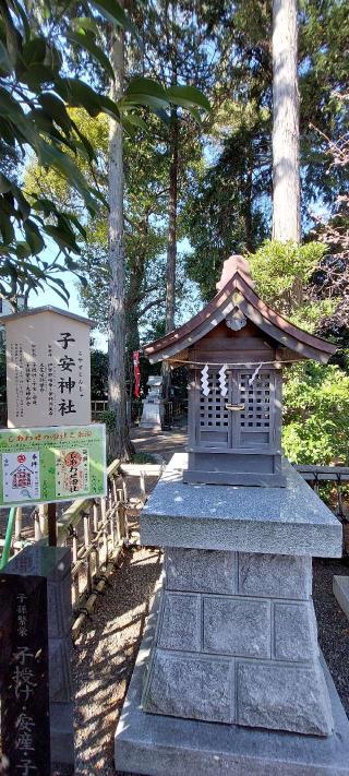 子安神社の参拝記録(まーぼーさん)