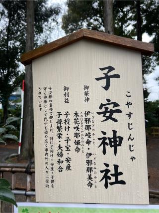 子安神社の参拝記録(⛩️🐉🐢まめ🐢🐉⛩️さん)