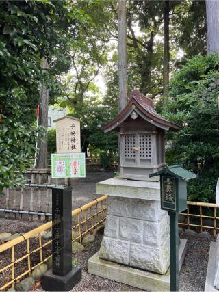 子安神社の参拝記録(⛩️🐍🐢まめ🐢🐍⛩️さん)