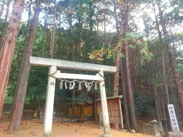 三重県度会郡大紀町神原 神原八柱神社の写真2