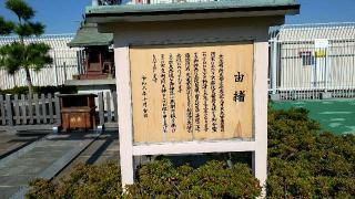 京急稲荷大神の参拝記録(狛猫さん)