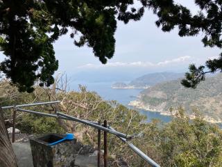 雲見浅間神社(本殿)の参拝記録(🤗あんこさん)