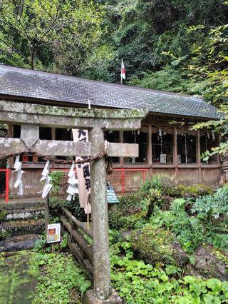 七福神(伊那下神社 境内社)の参拝記録(zx14rさん)