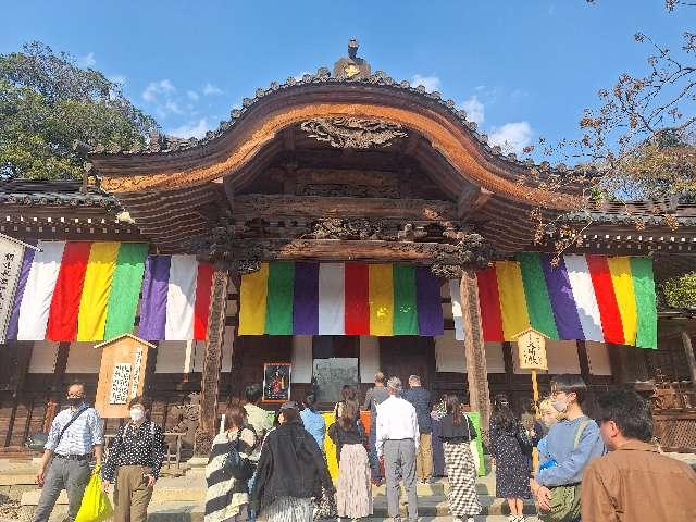 浮岳山 深大寺の参拝記録4