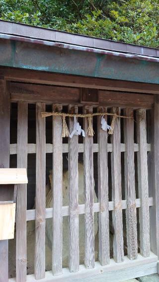 神紋石舎(日御碕神社 摂社)の参拝記録(Roseさん)