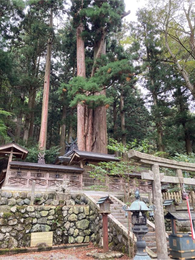 洞川八幡宮の写真1