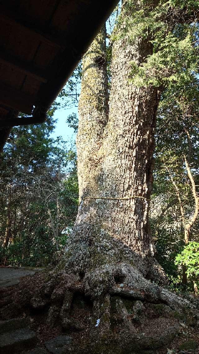 広島県東広島市高屋町杵原2183 楽市八幡神社の写真4