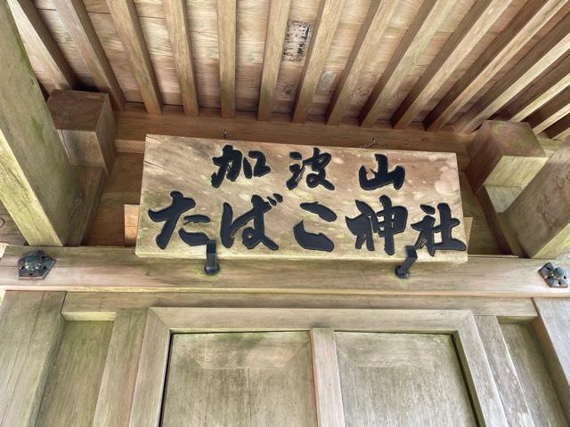 たばこ神社の参拝記録(智恵子さん)