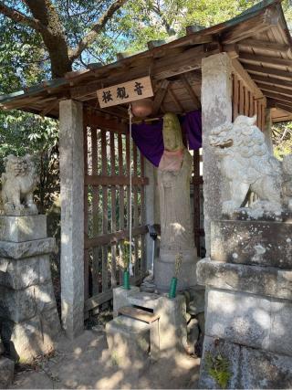 桜観音の参拝記録( 真弓さん)