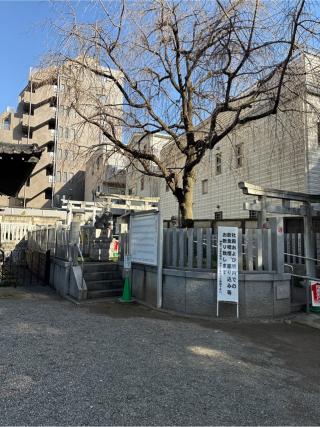 三峯神社(荻窪白山神社境内社)の参拝記録(⛩️🐍🐢まめ🐢🐍⛩️さん)