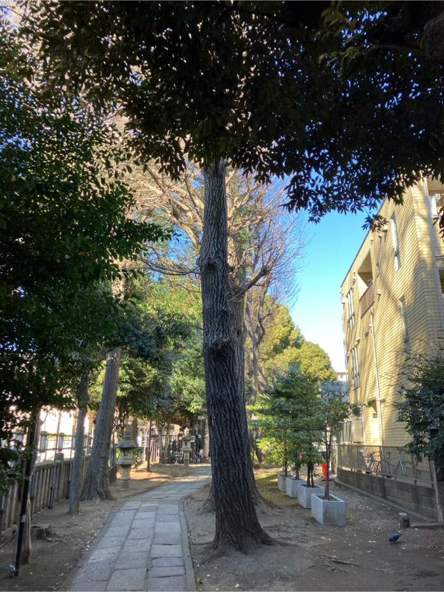 田守稲荷神社(荻窪白山神社境内社)の参拝記録6