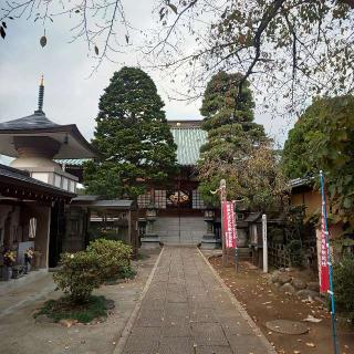 福寿山徳蔵寺の参拝記録(しろぎすさん)