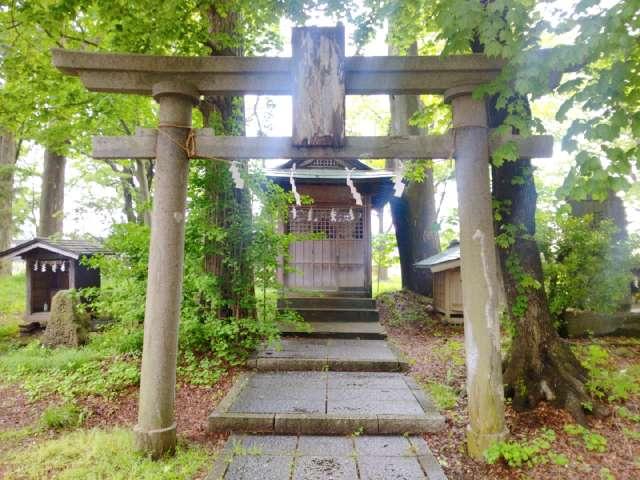 早駒神社(総社神社)の参拝記録1