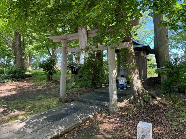 早駒神社(総社神社)の参拝記録1