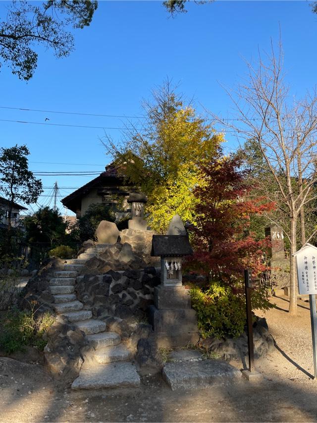 浅間社（葛飾八幡宮境内）の参拝記録(ねこチャリさん)