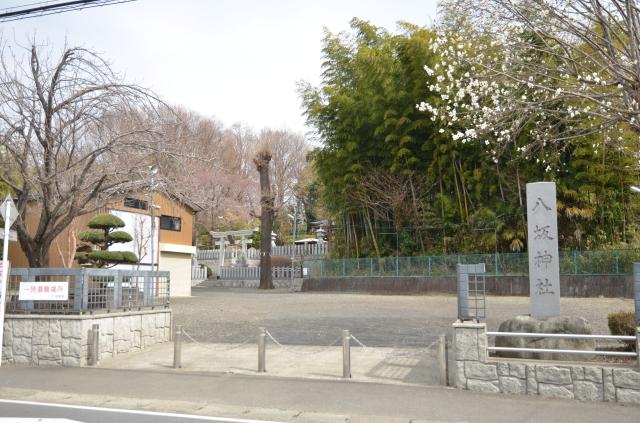 神奈川県相模原市緑区下九沢1991-3 八坂神社（下九沢）の写真1