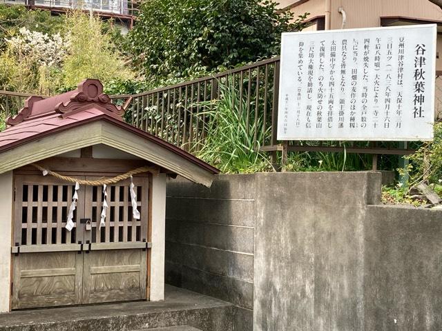 静岡県賀茂郡河津町谷津375 谷津秋葉神社（河津八幡神社境内）の写真1