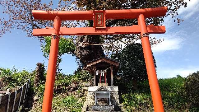 桜木稲荷神社の参拝記録1