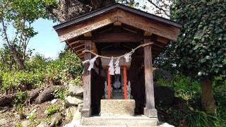 桜木稲荷神社の参拝記録(miyumikoさん)