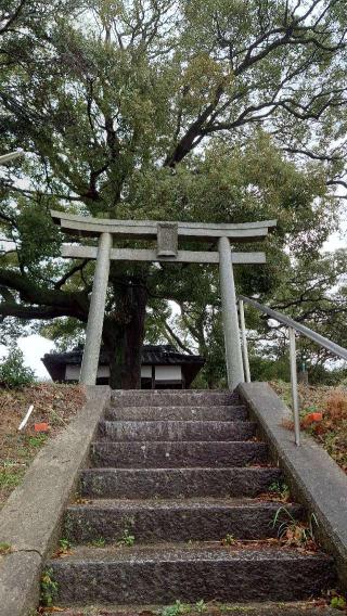 八幡神社(室原神社)の参拝記録(Roseさん)