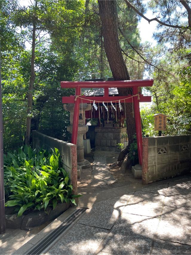 稲荷神社（登渡神社境内社）の参拝記録10