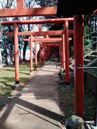 水玉稲荷神社の参拝記録(hachiさん)