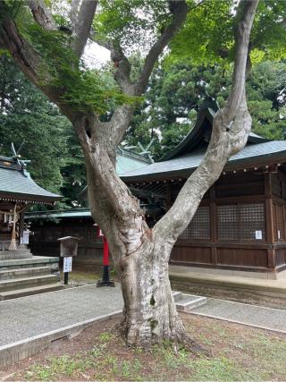山神社(駒形神社境内社)の参拝記録(⛩️🐍🐢まめ🐢🐍⛩️さん)