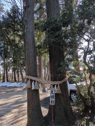 水沢招魂社(駒形神社境内社)の参拝記録(SFUKUさん)