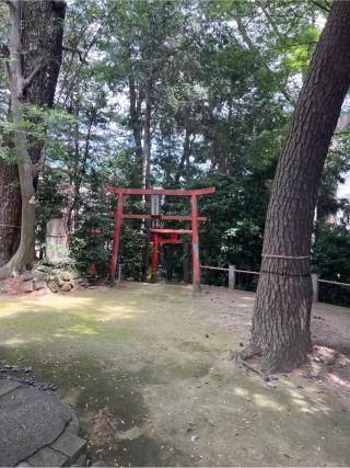 霧島稲荷神社(飯玉神社境内社)の参拝記録(⛩️🐍🐢まめ🐢🐍⛩️さん)