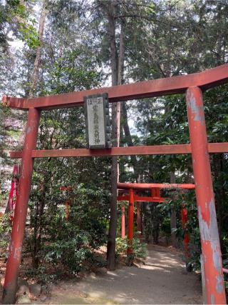 霧島稲荷神社(飯玉神社境内社)の参拝記録(⛩️🐍🐢まめ🐢🐍⛩️さん)