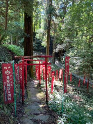 豊栄稲荷 (香積寺)の参拝記録(恭子さん)