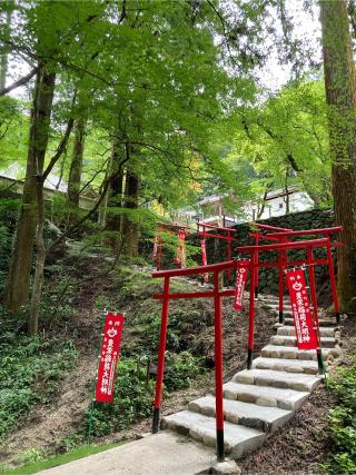 豊栄稲荷 (香積寺)の参拝記録(恭子さん)