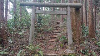 高尾神社奥宮の参拝記録(ロビンさん)