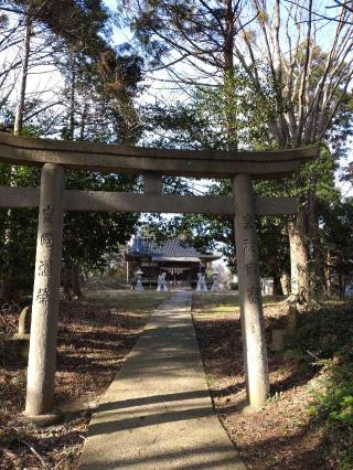 大元神社の参拝記録(yanjuさん)