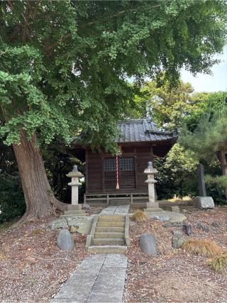 東金野井八幡神社の参拝記録(ねこチャリさん)