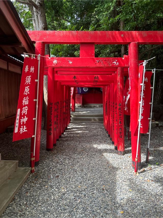 須原稲荷神社(須原大社　境内社)の参拝記録3